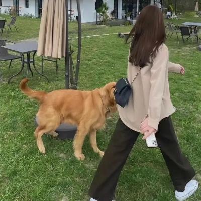 绝妙心灵第二季